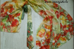 magoniishu-komplekts