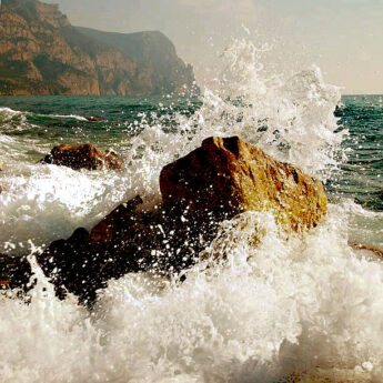 šampanieša ieraksts