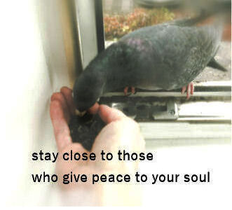 Baloža stāsts (stay close to those who give peace to your soul)